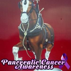 Meet your Posher, Terry